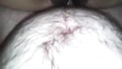 lanet benim anal eski kız arkadaşı (kıllı KEDİ)