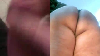 Antonella almak bir büyük horoz haraç