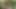 Açık yoga oturumu lezbiyenler azgın için her diğer yapar