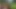 Geiler versauter Sommerfick im Wald mit deutscher Blondine