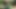 Bu kızıl saçlı Belçikalı ne istediğini (penis) biliyor ve istediğini yapıyor