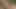 Sarışın güzel kadın seksi esmere amını yalatıyor