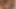 File çoraplı baştan çıkarıcı esmer zonklayan yarağı yutuyor döl damlıyor