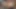 Kaslar penis insanın derinliklerine kayıyor, binici adam götten sikiliyor uzun hiper penis ai gay