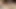 Muff diving sexy petite milf pussy PUSSY WORSHIP FEMALE POV