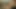 5 gün boşalmak yok, kenar prostat masajı, büyük titreşimli cumshot