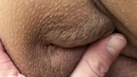 Tıraş kedi - onu kedi seviyorum