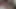 azgın genç yavrular