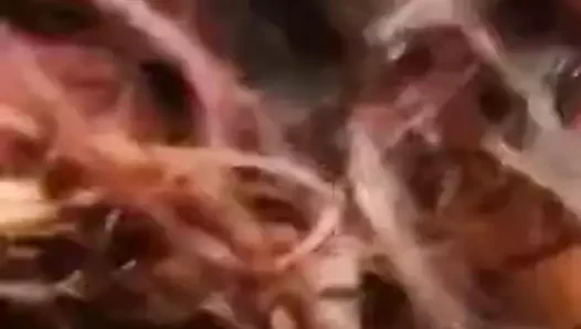 Dominicana se masturba en publico