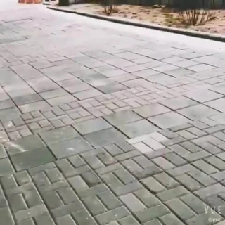 paseito