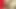 Busty ladyboy ile küçük kıllı çük verir züppe bir oral seks