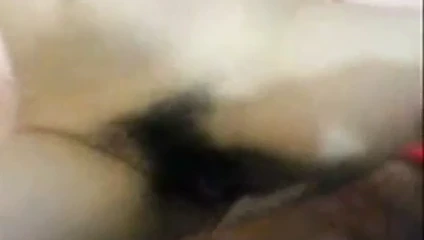 Turman Seri Sperm Neye Yarar