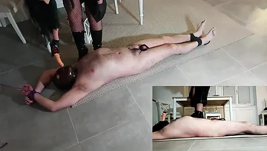 A delicious cocktail for the slave