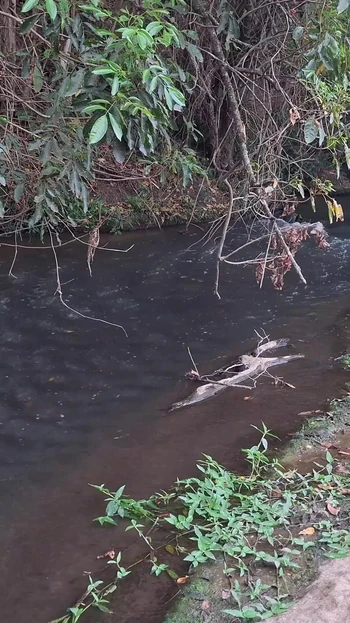 Незабываемый момент от "Незнакомцев застукали за сексом у водопада."