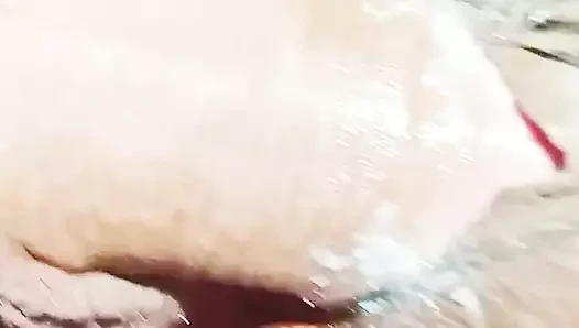 Marwari Sex Video Desi Sex Desi Husband Wife Sex Desi Wife Indian Wife Sex Rajasthani Sex Hindi Sex Hindi Audio