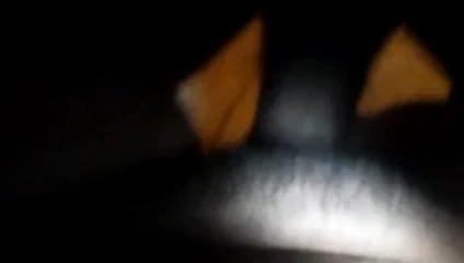 bana lanet benim eski