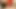 Seksi Kadın Egemenliği Sahibeler Itaatkar Köleyi Dizlerinin Üzerinde Domine Ediyor
