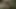 Pakistanlı çift
