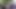4K'da tam uzunlukta ultra hd versiyon et renkli çoraplı orijinal solo selfie'nin süper net kopyası