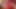 İngiliz nine Rose oyuncakları anal fışkırtarak filme alıyor