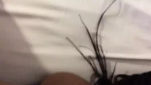 lanet the jamaican KEDİ