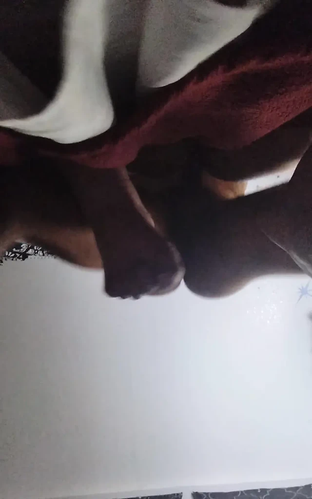 Dicking down Big Ass Pawg and filling her up.