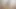 Kız arkadaşımla birlikte emmeyi seviyorum. 4K HD Tim Team