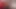FS9