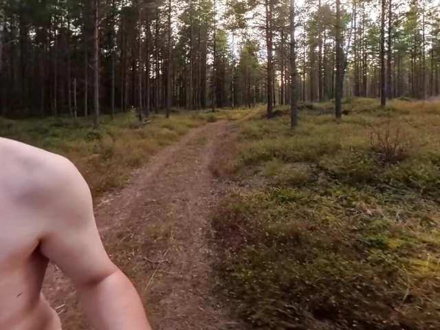 Boy wanders naked through Sweden
