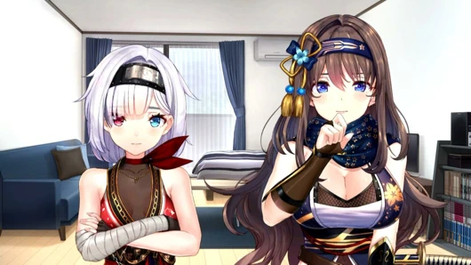 Büyük memeler ninja hentai oyun nin nin day2 oyun video 12