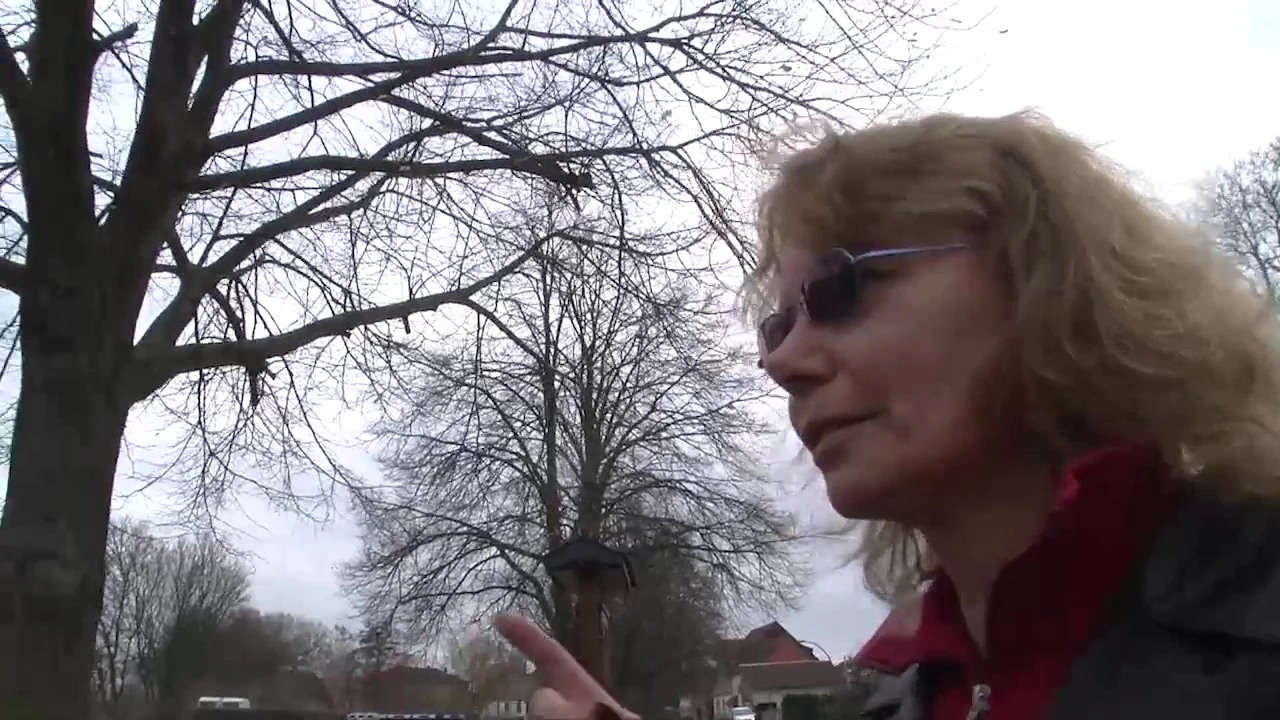 Mature Bitch Needs More Sex (Muschi Movies – The Original)