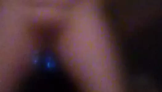 Güzel beyaz kız kedi