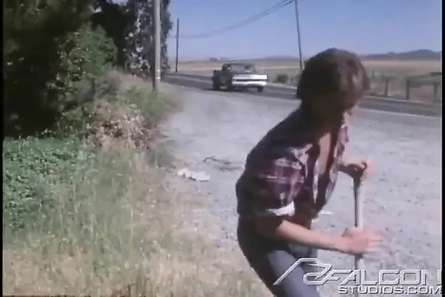 Dirt Bikes