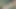 Camsex