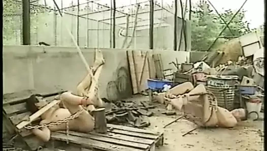 Madam Electra, Barbed Wire Disciplined Slave (25-06-2003)