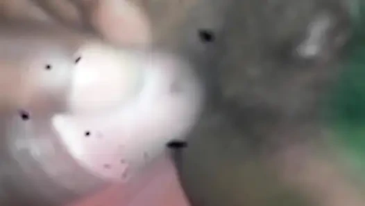 Bangla boudi video bhabhi