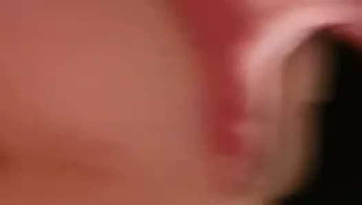 İzlanda köpek stili