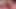 Brooke Haven çok seksi bir sulu göt parçası. Vanessa Lane, Tommy Gunn - sapık orta yaşlı seksi kadınlar