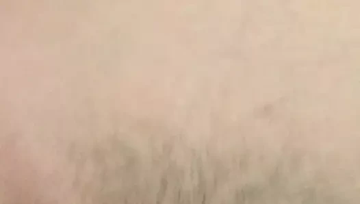 yakın yukarı kedi lanet