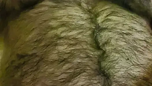 Aç küçük canavar ayı