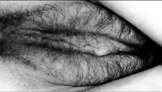 Meister - T - Scheide ist Schneide