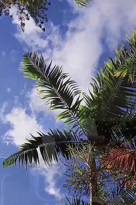 [sahne arkası] Genç nathalie grup seks partisine hazırlanıyor