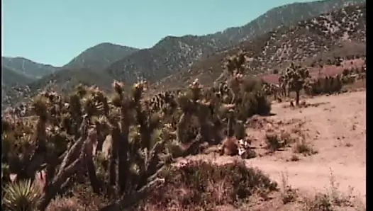 Dik busty sürtük gets kedi becerdin tarafından muscle damızlık içinde the harika açık havada