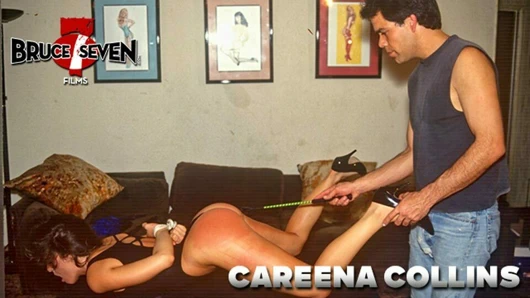 Bruce yedi - incinmiş bir dünya - casee