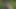 Sevimli esmer genç kız futbol koçuyla sikişiyor