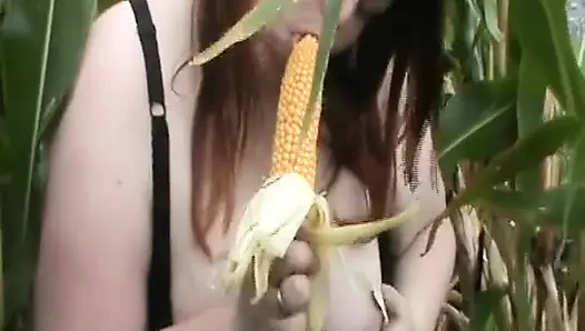 Mısır Tarlasında Tammara