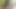 IMG 3413+.MOV