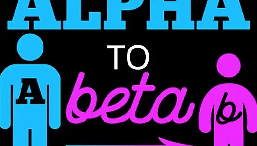 De l'alpha à la version bêta complète