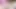 seksi tranny horoz canlı 50
