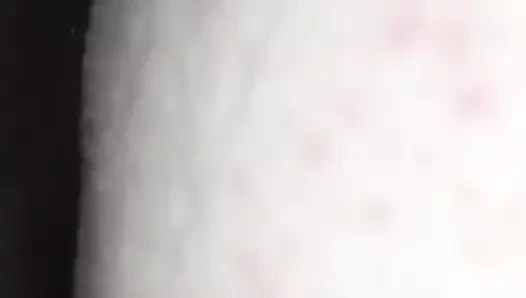 Bana dil tatma bazı iyi kremsi bükülmüş kedi